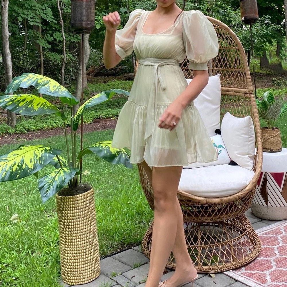 Danielle Bernstein weworewhat Puff Sleeve sheer dress Sep sale